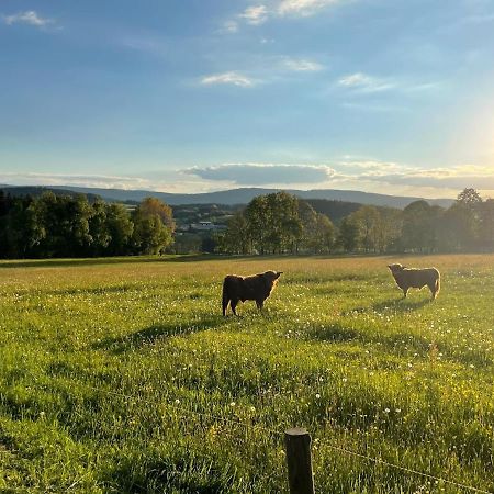 Apartmany Sumavanek Zdíkov Buitenkant foto